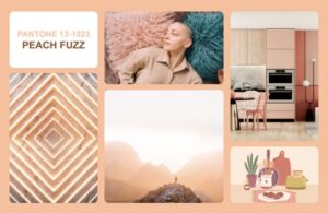Described by Pantone as velvety and tactile, as well as both youthful and timeless, it aligns with some of the Creative Trends 2024, including gender neutrality and quiet luxury aesthetics.